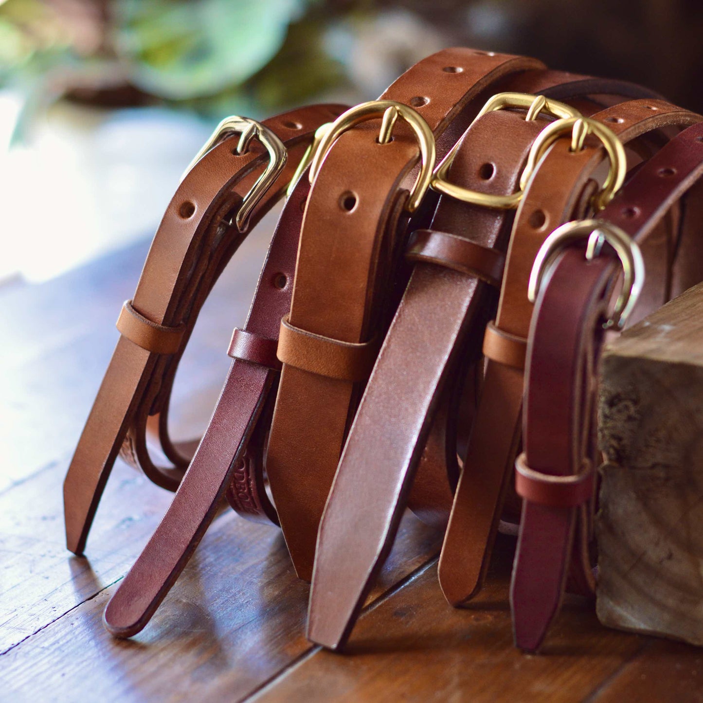 Lifetime Belts for Women